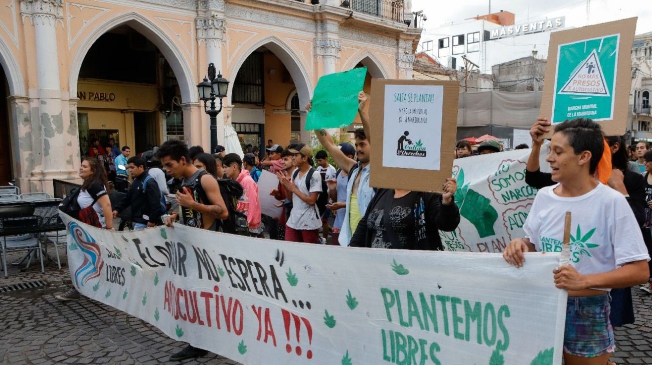 Marcha de la Marihuana en Salta: No más presos por cultivar y capacitación para la Seguridad