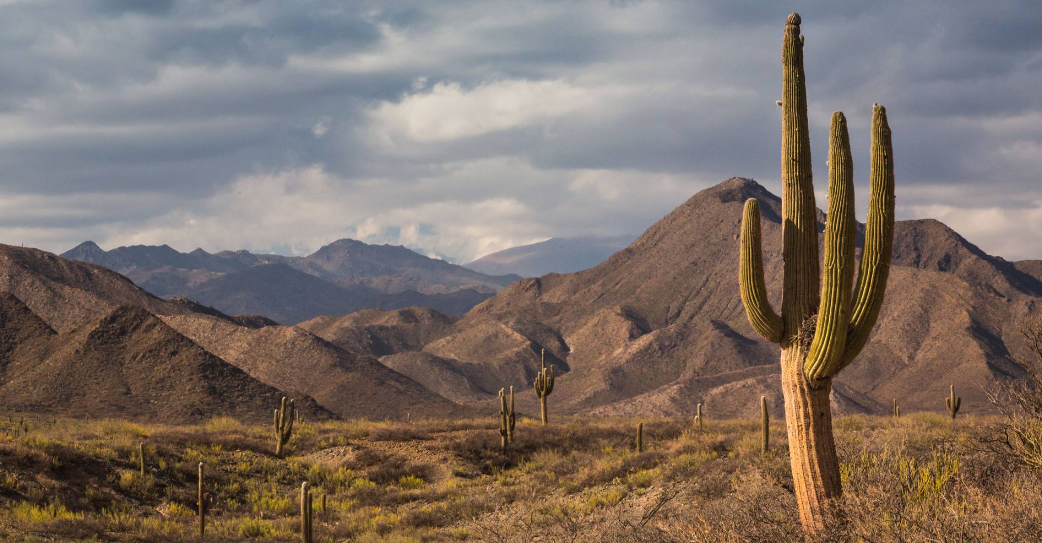 El agua vale más que el oro: Vallistos juntaron firmas en contra de la explotación minera