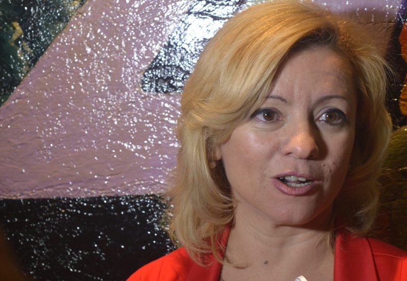 Fonseca sobre la Ley de Emergencia en violencia de género: 