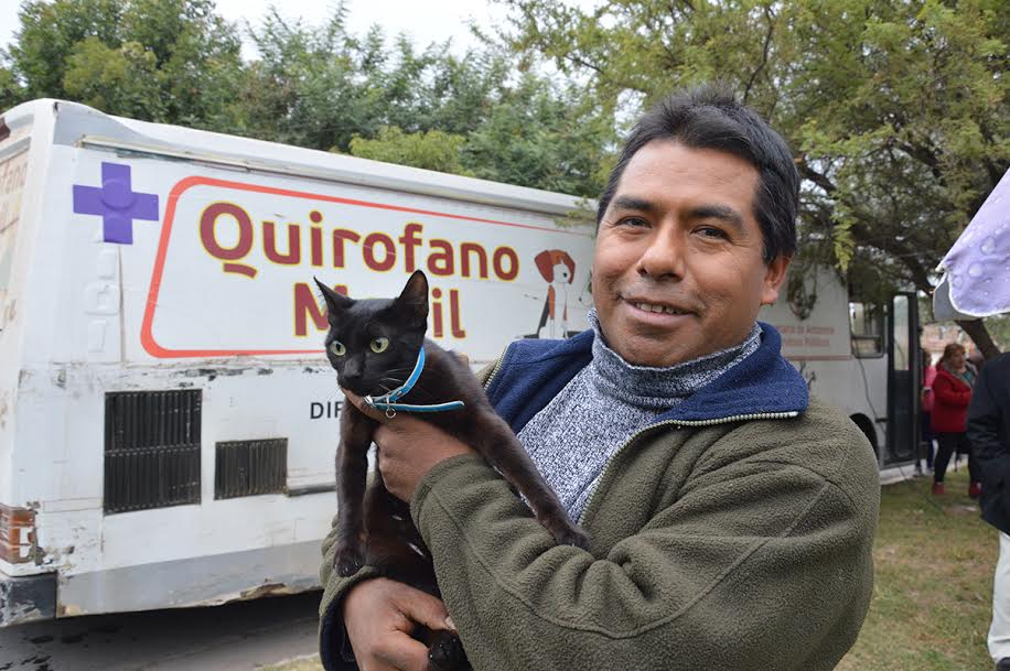 En 2017 el municipio castró 1830 mascotas con el Quirófano Móvil