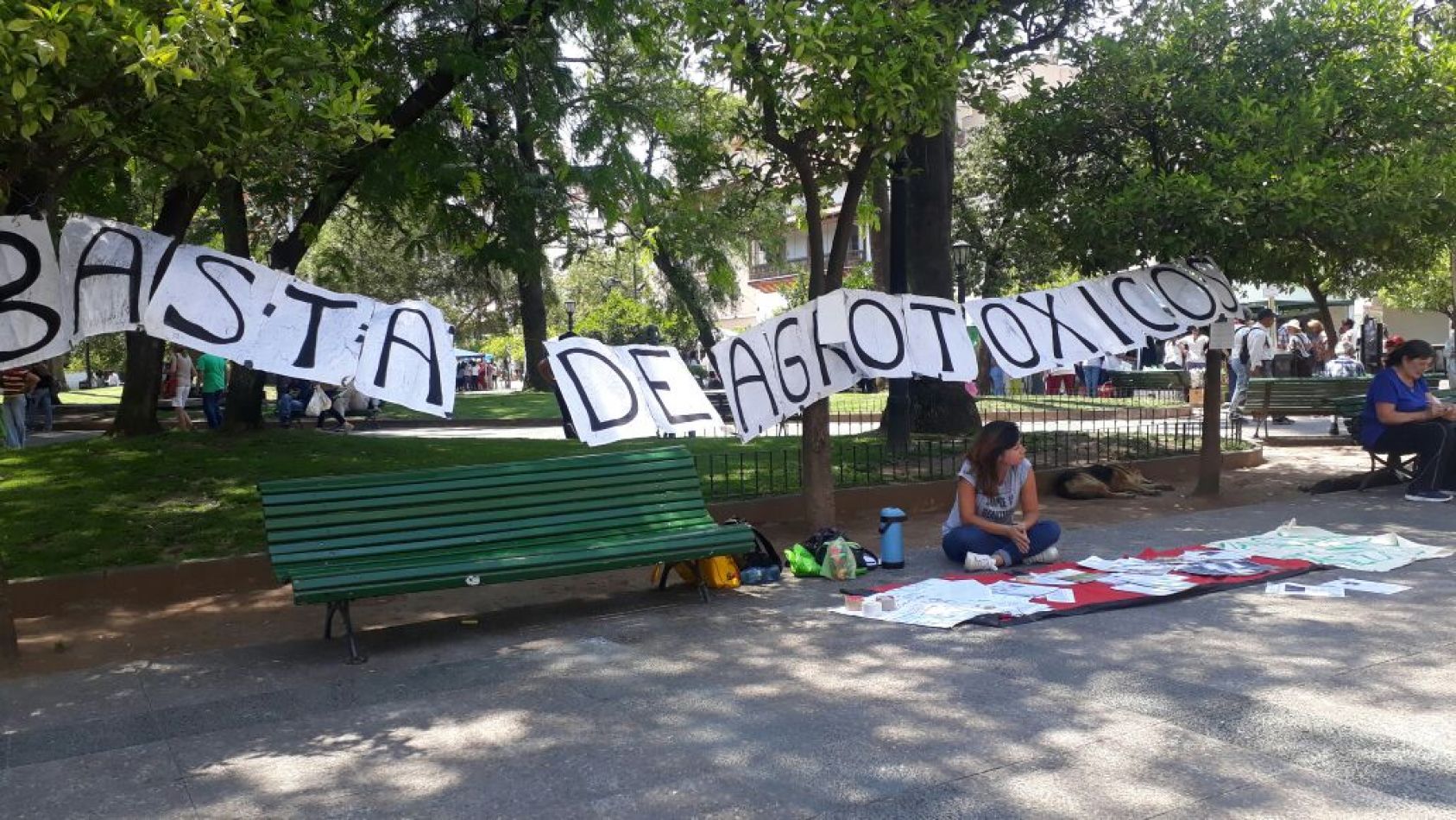 Activistas se manifestaron en contra del uso de agrotóxicos 
