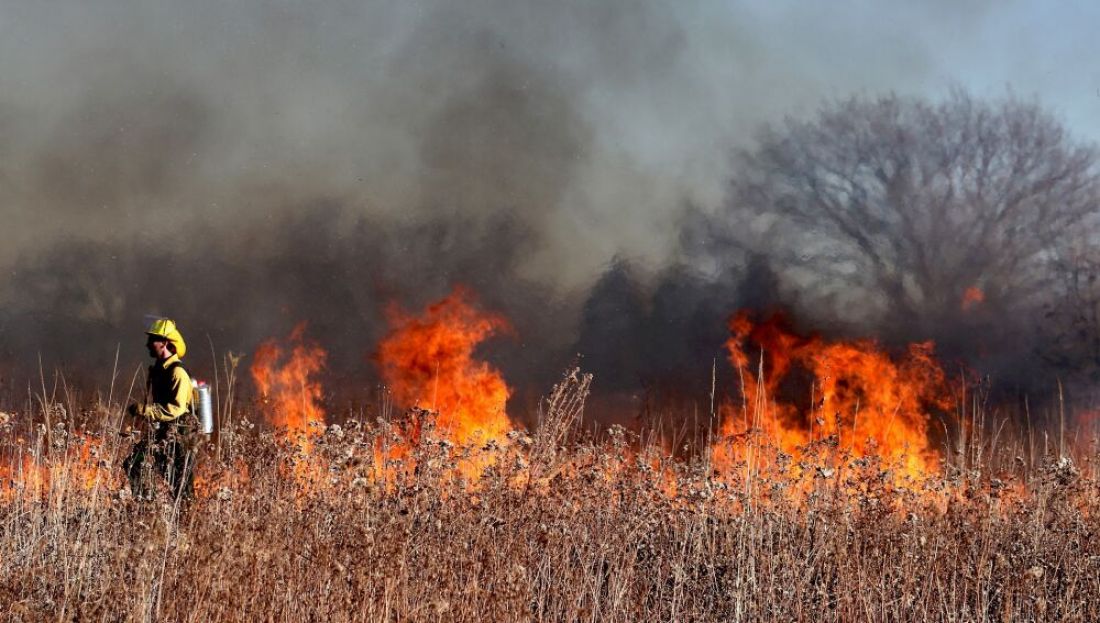 Brigadistas continúan trabajando en el incendio forestal de Colonia Santa Rosa