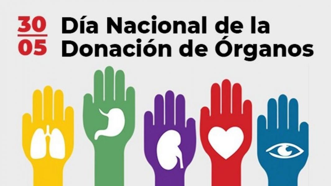 Día Nacional de la Donación de Órganos: 200 salteños esperan un trasplante 
