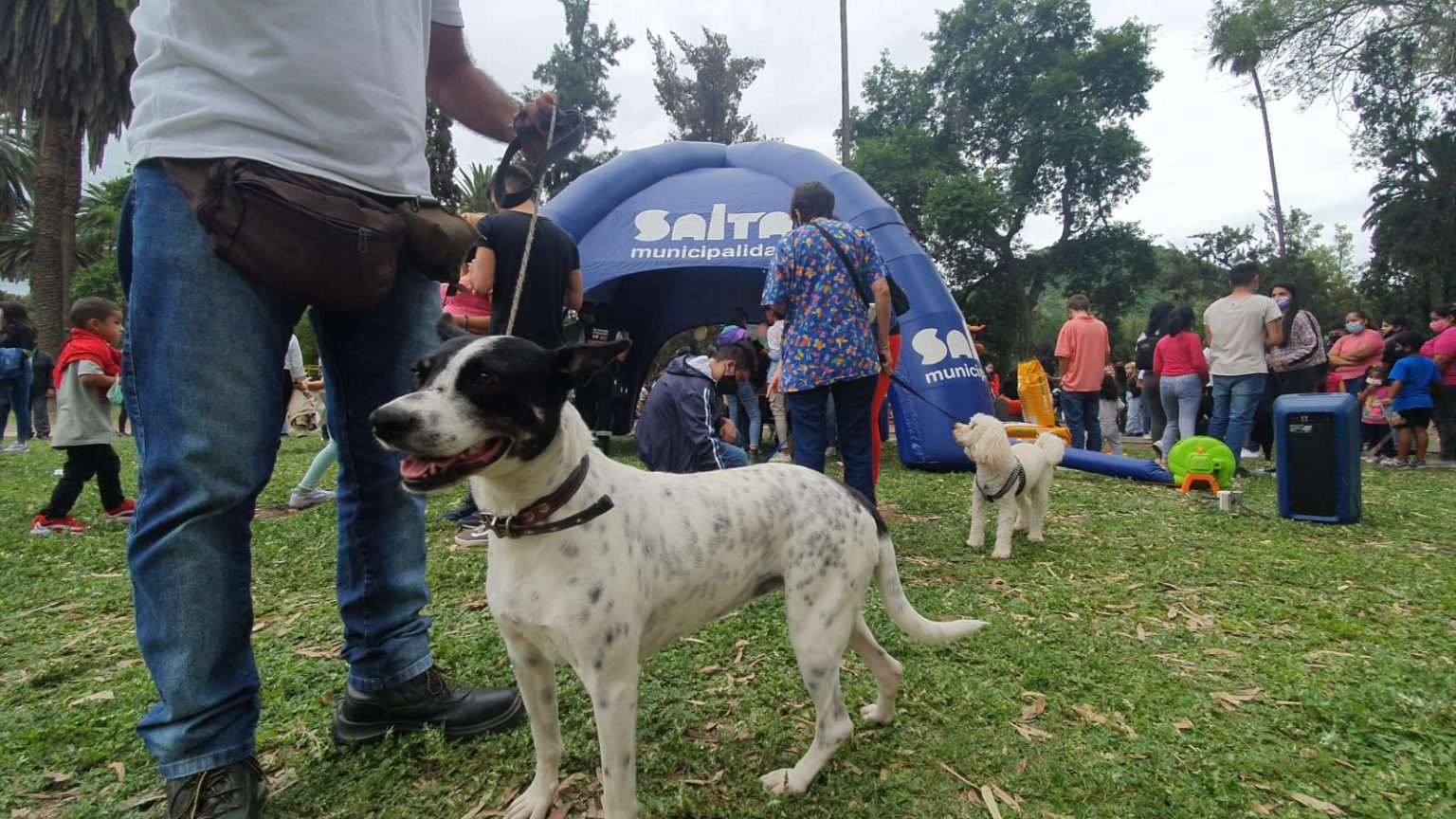 Día del Animal: la Municipalidad organiza actividades alusivas a la fecha