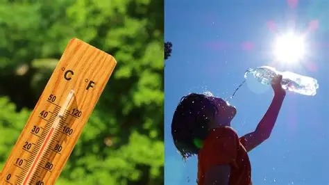 Los pediatras advierten por los golpes de calor: cómo reconocerlos y actuar a tiempo
