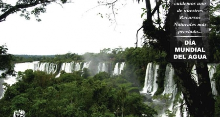 #22MARZO/ Día Mundial del Agua